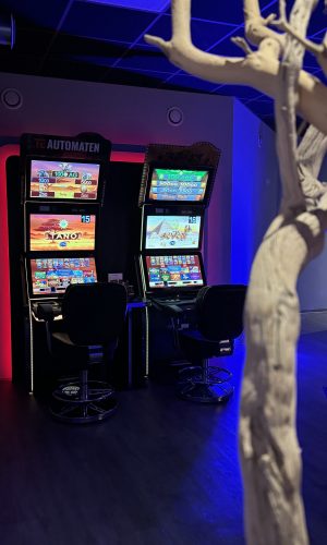 Gaming-Automaten in dunklem Raum mit blauer LED-Beleuchtung und dekorativer weißer Baumast-Skulptur